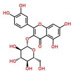 Isoquercetin